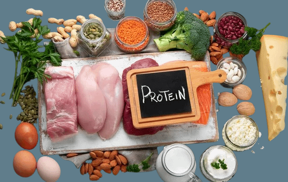 Makanan Protein Tinggi Untuk Otot