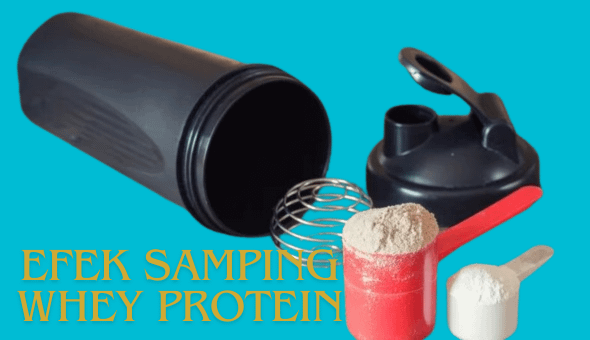 Efek Samping Whey Protein